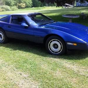 Meet your Posher, Fred